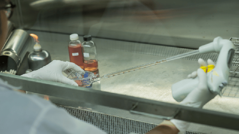 Микробиологические лаборатории Микробиологические лаборатории